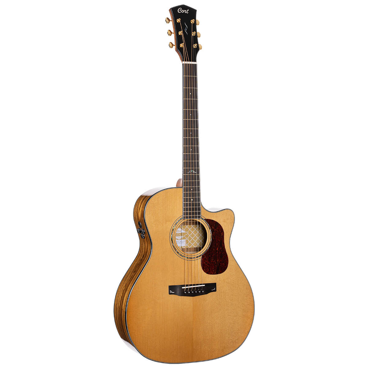 Cort Gold A6 Bocote 電木吉他