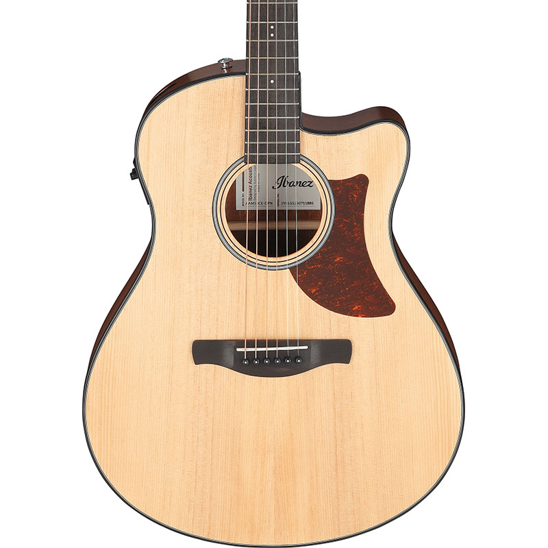 最新コレックション PJ Taylor 木目 エレアコ pj1000OMCE☆美品 guitar's ギター