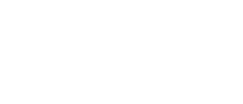 Pluginz
