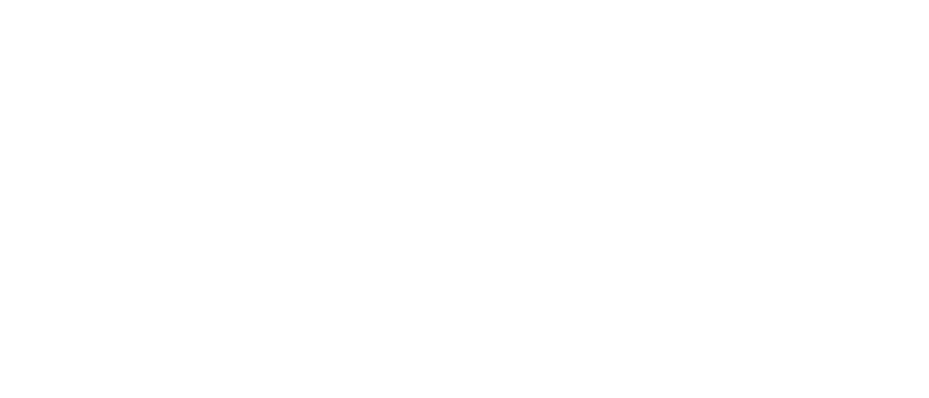 DMI Guitar Labs