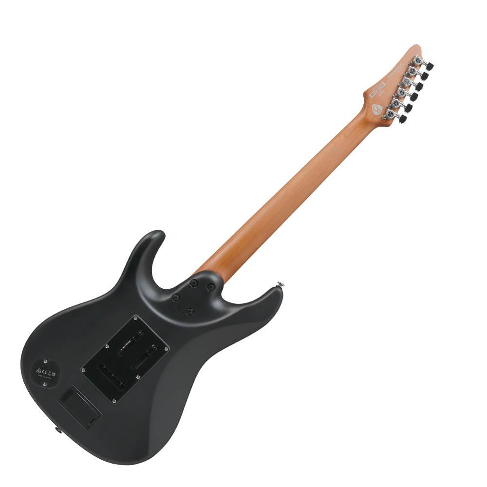 Ibanez BER10 Bernth 簽名款電吉他 Ibanez BER10 Bernth 簽名款電吉他