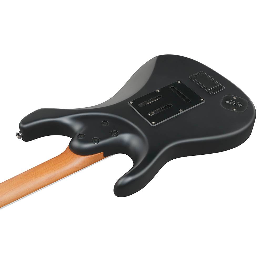 Ibanez BER10 Bernth 簽名款電吉他 Ibanez BER10 Bernth 簽名款電吉他