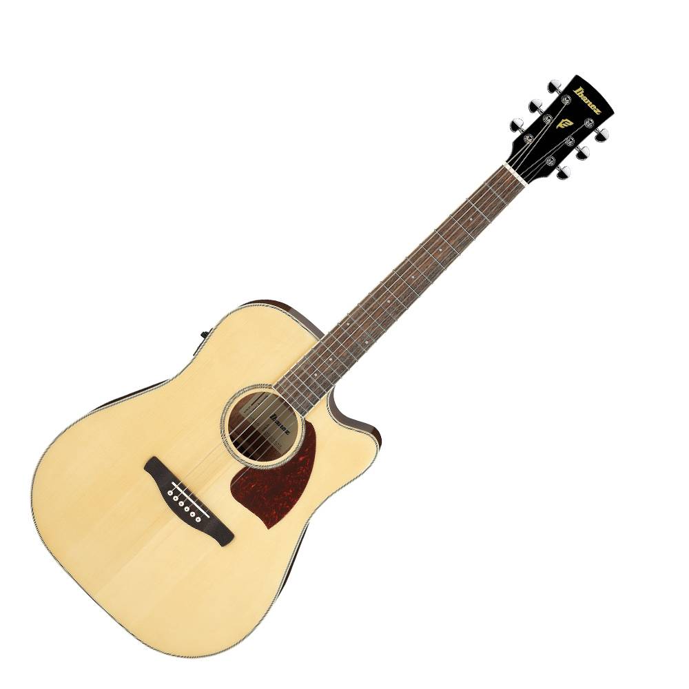 Ibanez PF16WCE 電木吉他