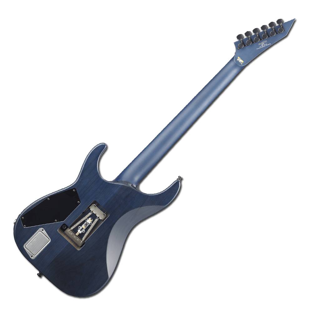 8606 中古品 ESP BanGDream ROSELIA イーエスピー バンドリ