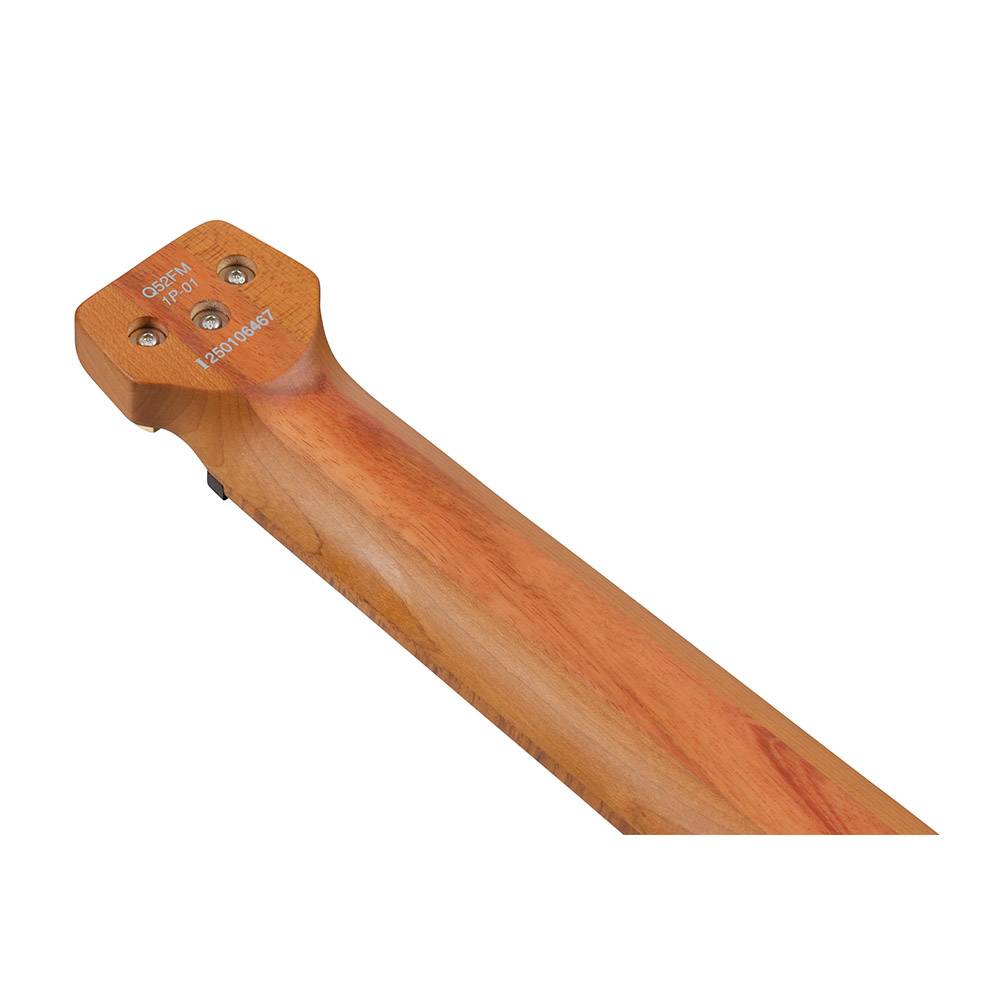 Ibanez Q52FMG 電吉他 Ibanez Q52FMG 電吉他